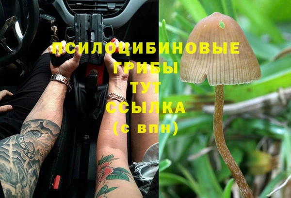 COCAINE Богородицк