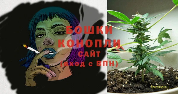 COCAINE Богородицк