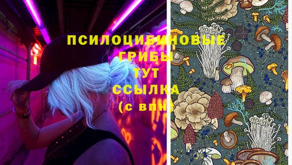 COCAINE Богородицк