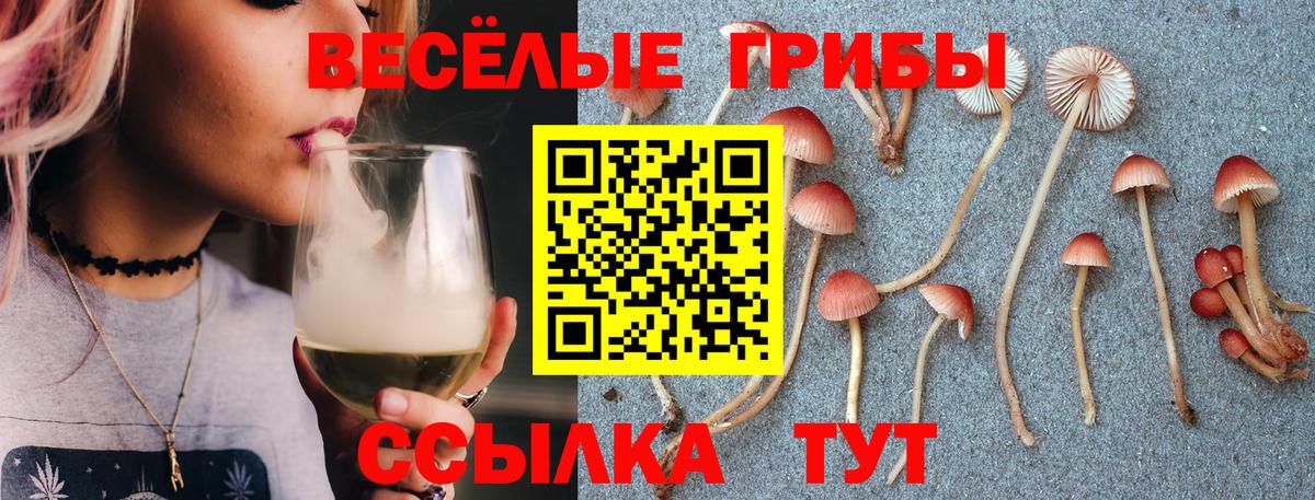 Галлюциногенные грибы прущие грибы  Вход с VPN  Надым 